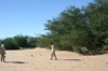 CPD March 2006